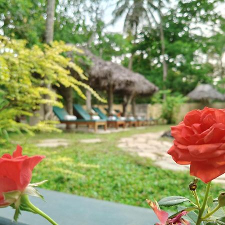 Marari Beach Bungalow Resort Alleppey Mararikulam Zewnętrze zdjęcie