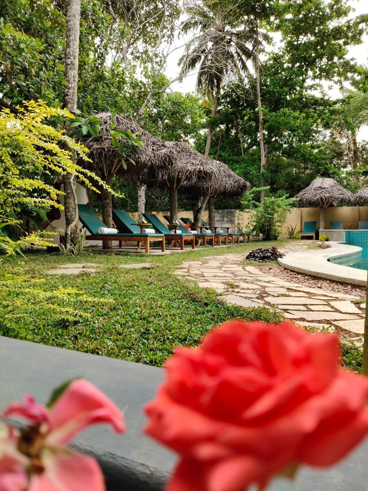 Marari Beach Bungalow Resort Alleppey Mararikulam Zewnętrze zdjęcie